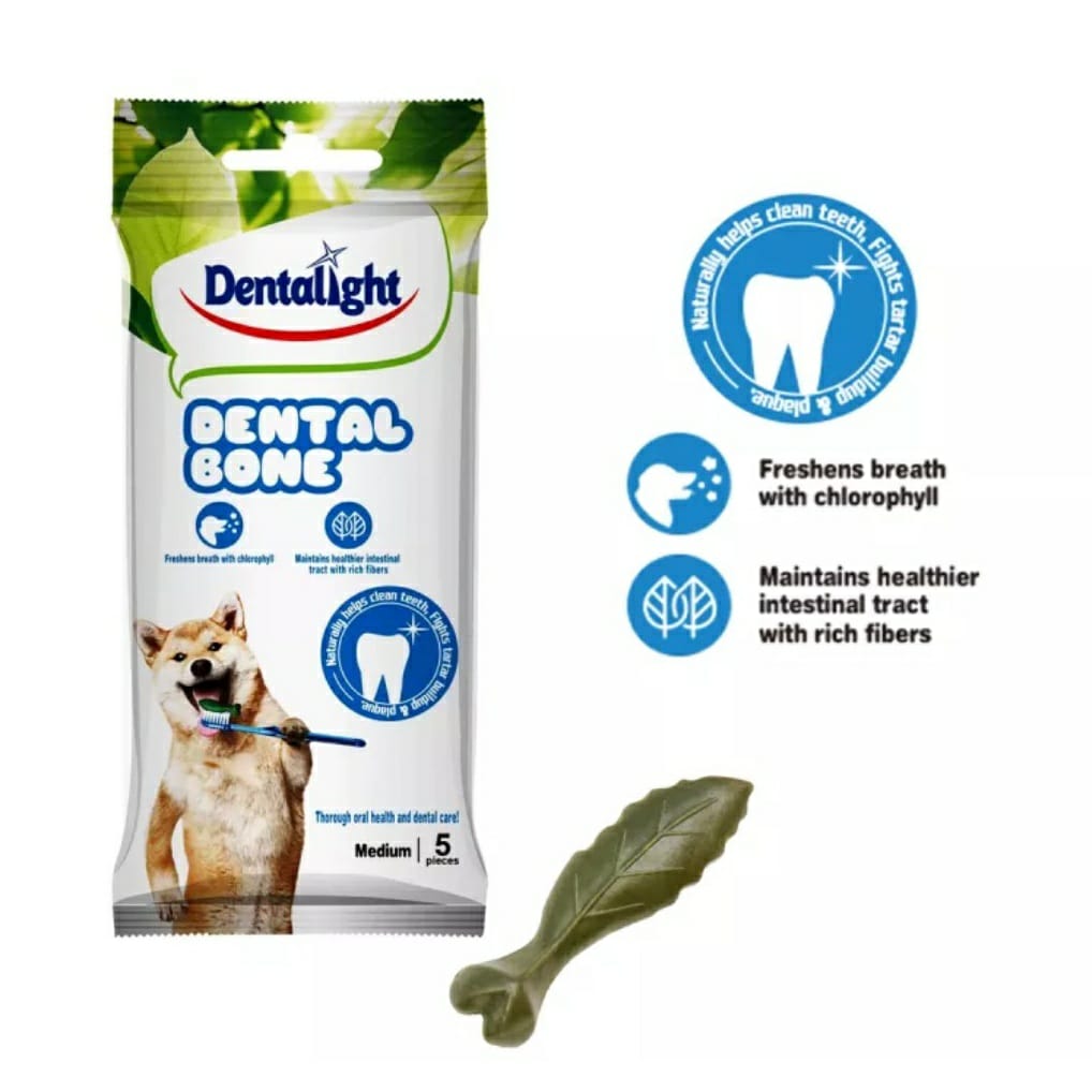 Dentalight 2025 dental bone