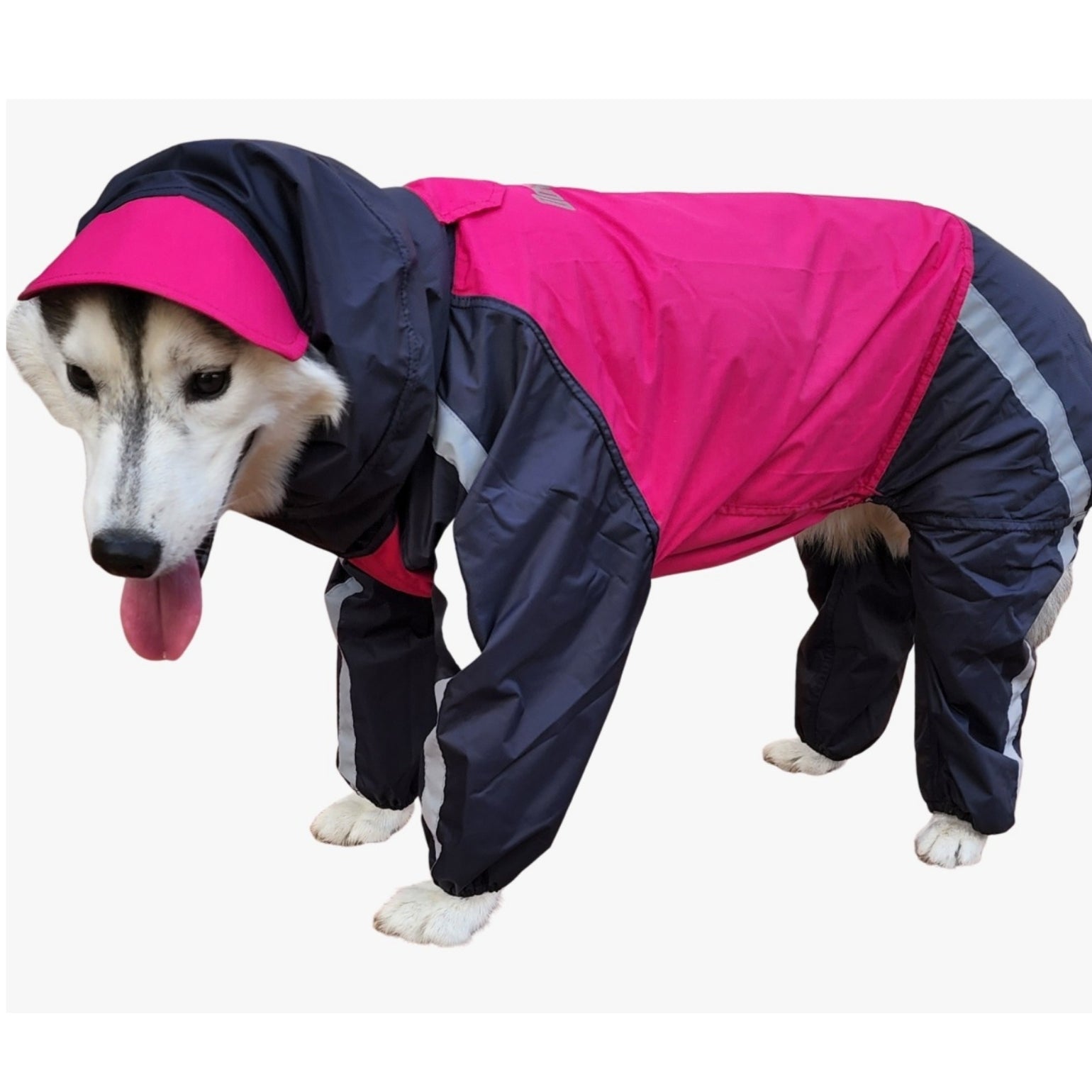 Dog raincoat 2025 full coverage