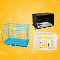 Dog Crates & Carriers