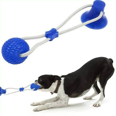 Basil Toy Vaccum with rope and ball