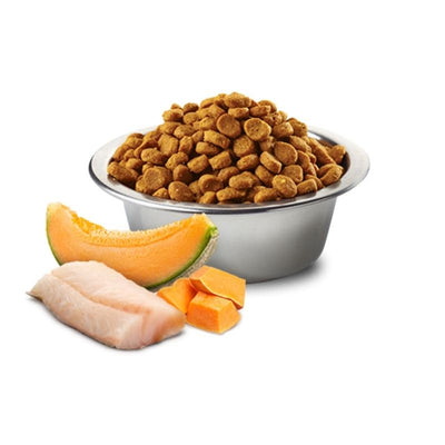 Farmina N&D Ocean Pumpkin, Cod &amp; Cantaloupe Melon Puppy Medium &amp; Maxi 2.5kg Dry Dog Food