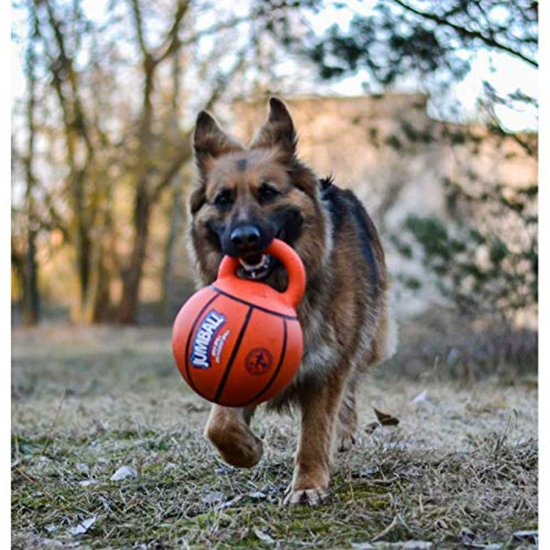 Gigwi Basket Ball with Rubber Handle Jumball - Orange