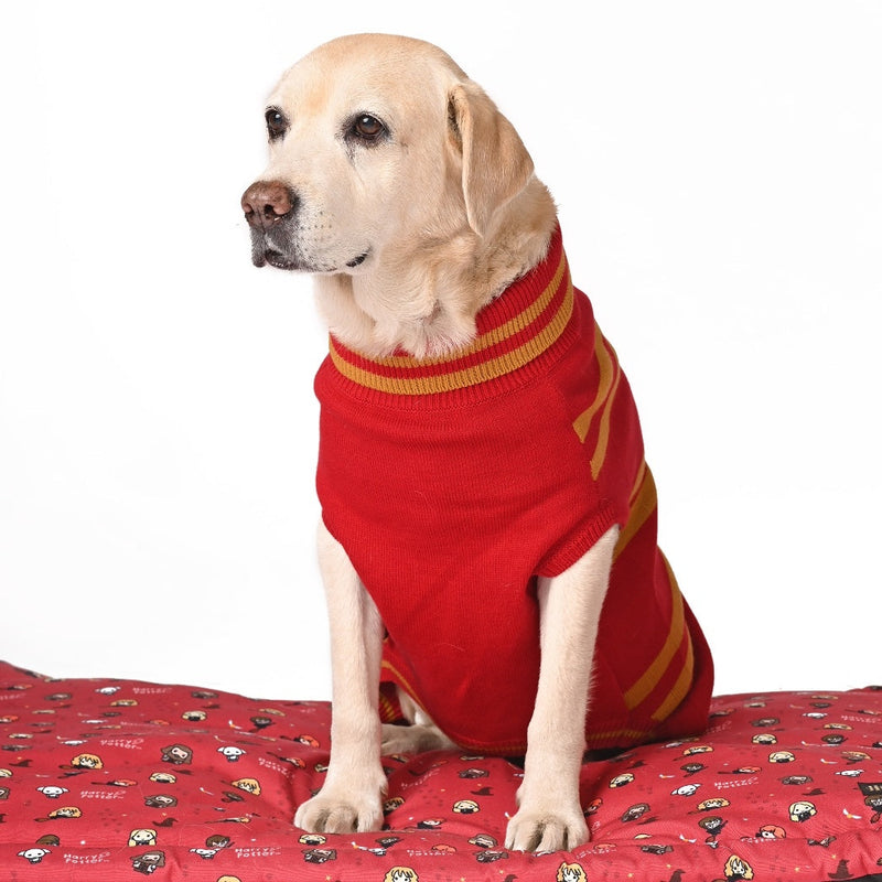 Harry Potter - Gryffindor Dog Sweater