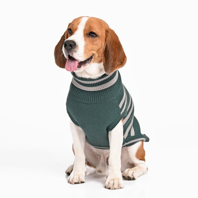 Harry Potter - Slytherin Dog Sweater