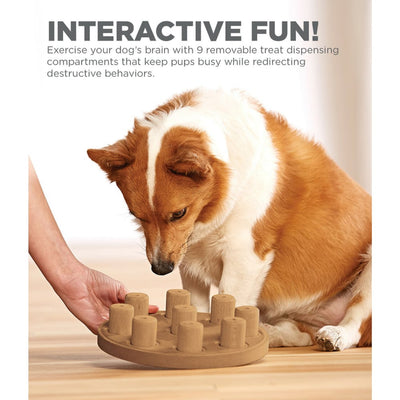 Outward Hound Nina Ottosson Dog Smart Composite Interactive Game