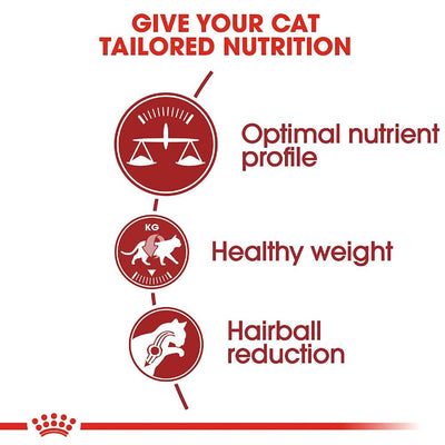 Royal Canin Fit 32 Dry Food For Cats