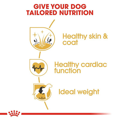 Royal Canin Golden Retriever Adult 3kg Dry Food