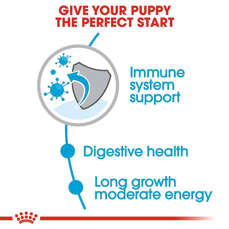 Royal Canin Maxi Puppy Dry Food For Dogs
