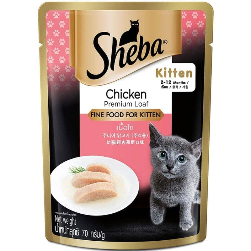 Sheba Kitten Chicken Premium Loaf 70gm