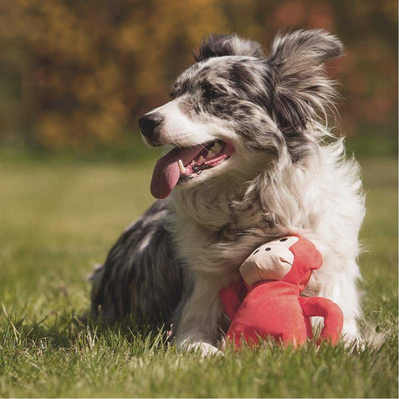 Beco Michelle Monkey - Eco-Friendly Toy For Dogs
