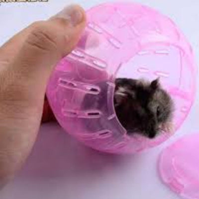 Hamster Ball - Purple, Sizes Available