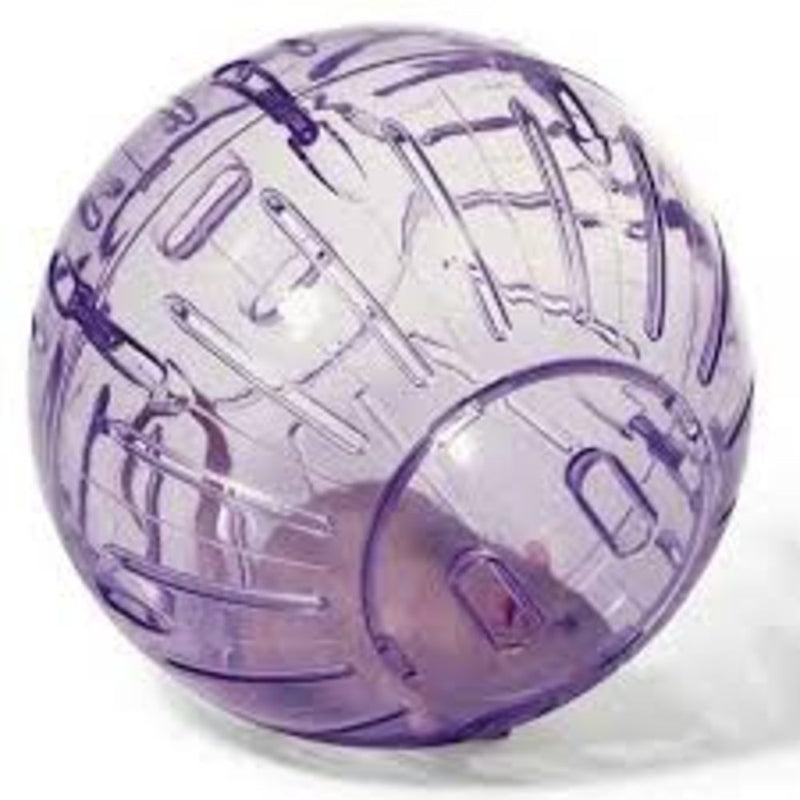 Hamster Ball - Purple, Sizes Available