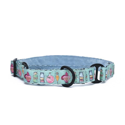 Harry Potter - Potions in Motion - Dog Martingale Collar