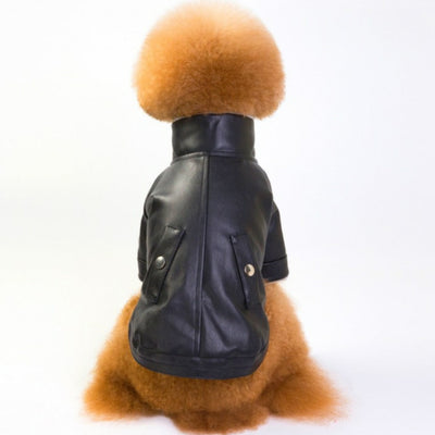 HM Molly Faux Leather Jacket - Jacket For Small Dogs & Puppies