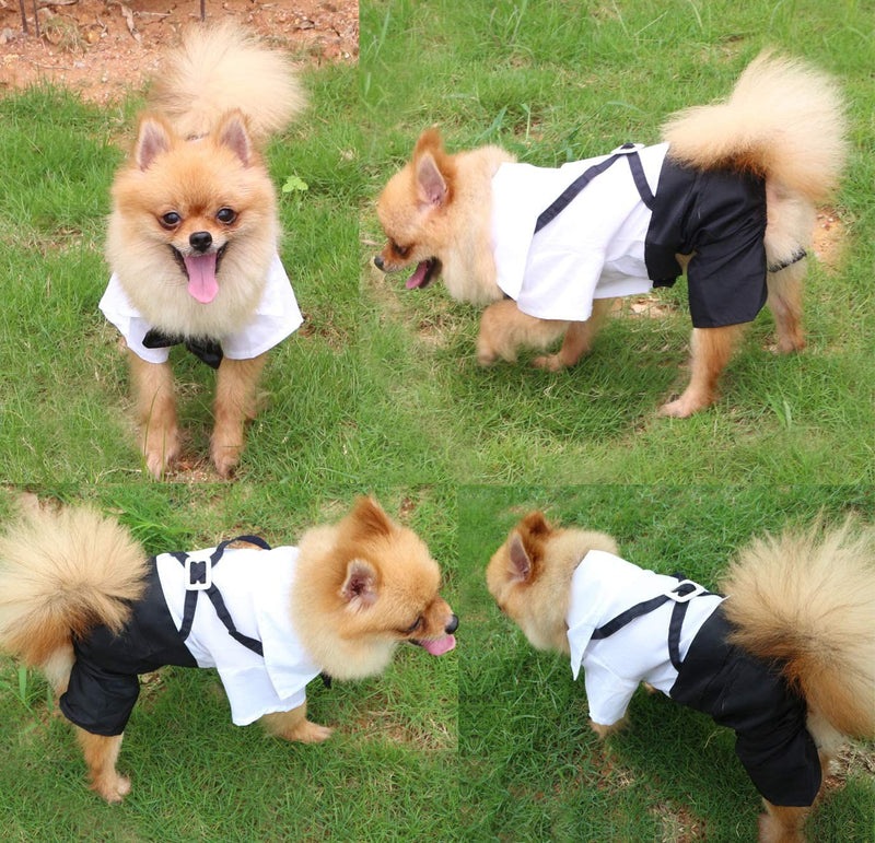 HM Black & White Formals with Suspenders & Bow tie - Clothes for Dogs & Cats