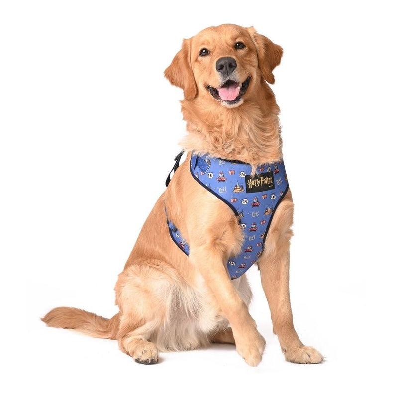 Harry Potter - Welcome To Hogwarts Dog Harness