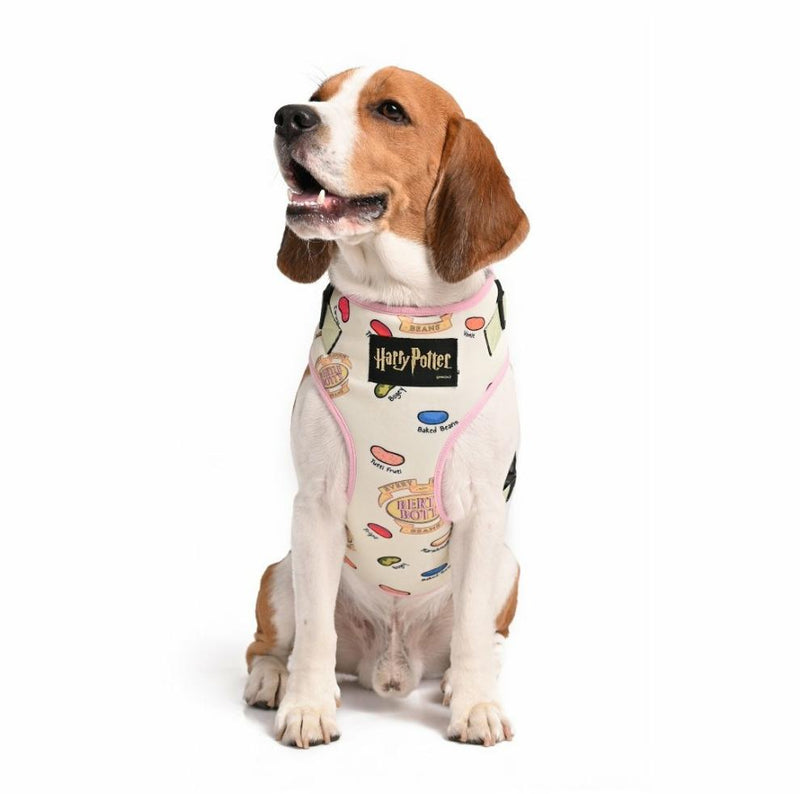 Harry Potter - Every Flavour Bean Harness