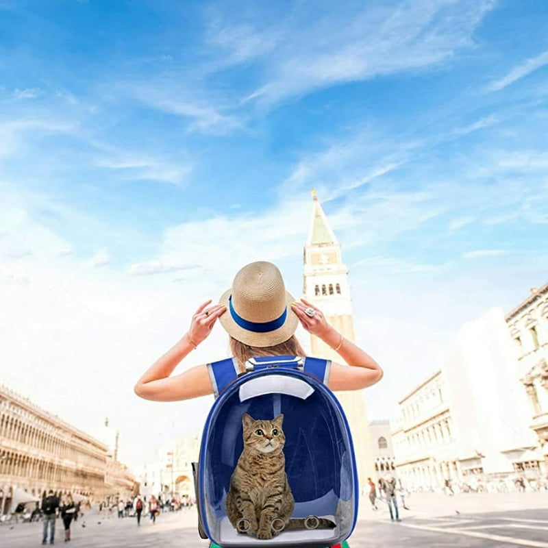 Pet Space Fully Transparent Travel Bag