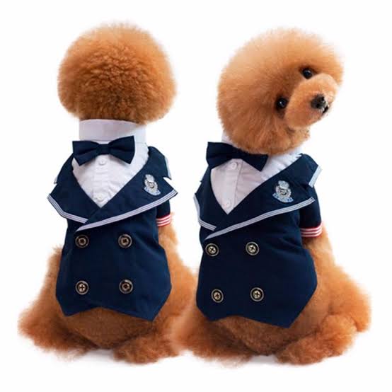 HM Nautical Formal Tux - Tuxedo For Small Dogs, Puppies and Cats